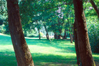 Villa C Outdoors 1