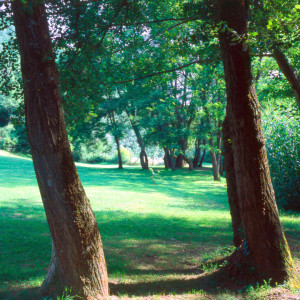Villa C Outdoors 1