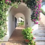 Magical Villa - Ischia - Gulf of Naples -  5 Bedrooms - 6 Bathrooms - $1,650,000.00 (FOR RENT & SALE)