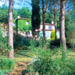 Holidays Haven- Località Poggente (Orvieto) $1,400,000.00